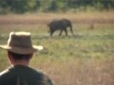 La caccia in video - Il cacciatore contro animali feroci